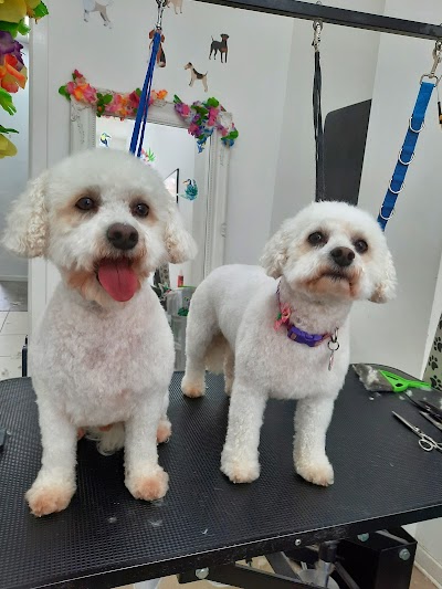 Grooming Van Image