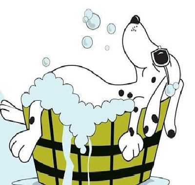 Grooming Van Image