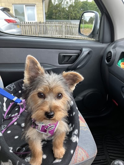 Paws & Relax Dog Grooming