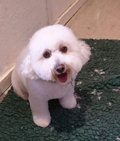 Grooming Van Image