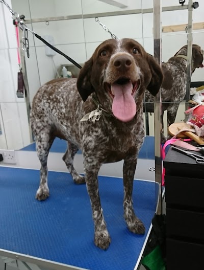 Grooming Van Image