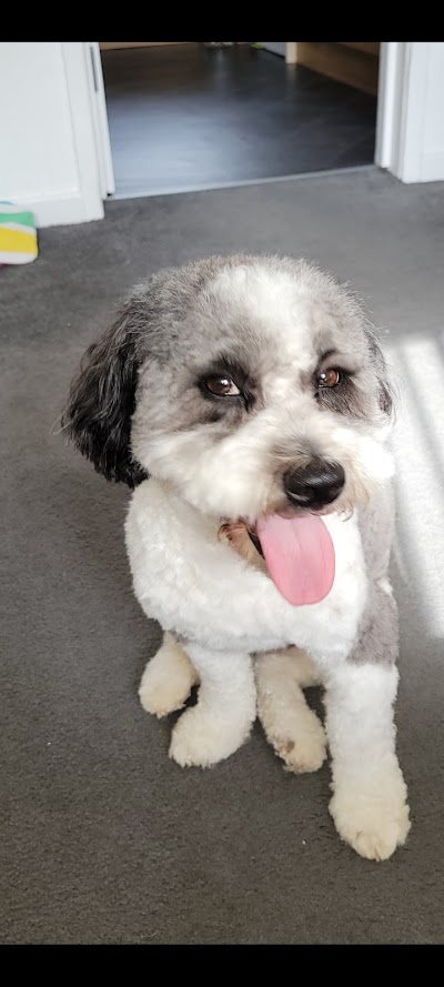 Poochilicious dog grooming