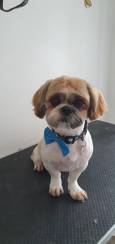 Posh Dugz