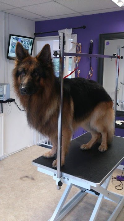 Grooming Van Image
