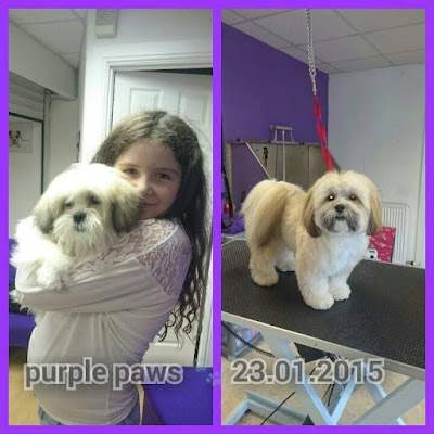 Grooming Van Image