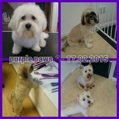 Grooming Van Image