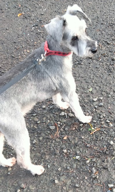Grooming Van Image