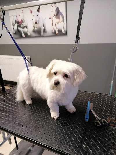 Grooming Van Image