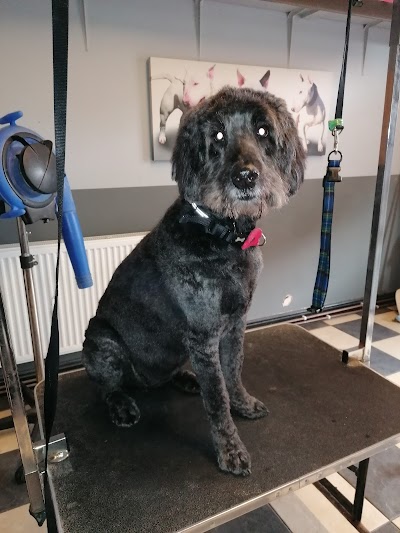 Grooming Van Image