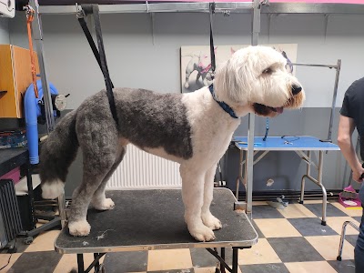 Grooming Van Image