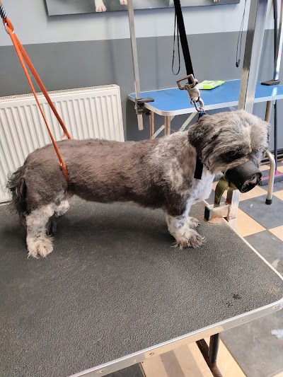 Grooming Van Image
