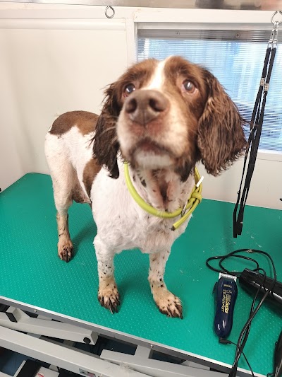 Grooming Van Image