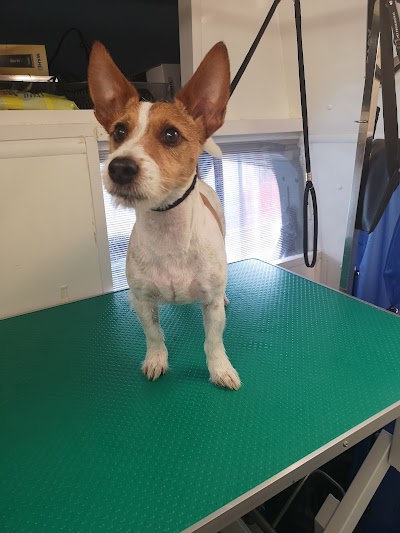 Grooming Van Image