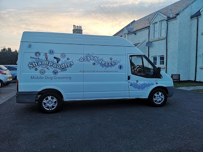 Grooming Van Image