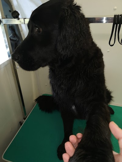 Grooming Van Image