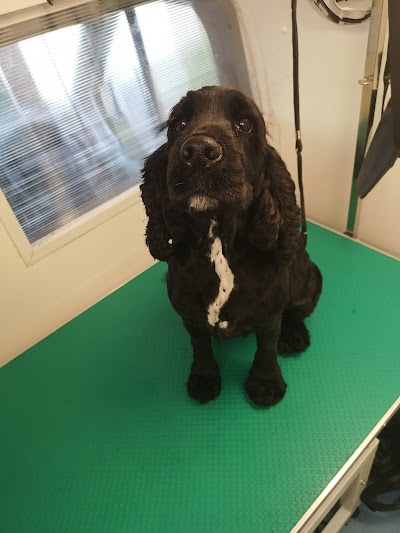 Grooming Van Image