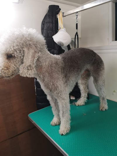 Grooming Van Image