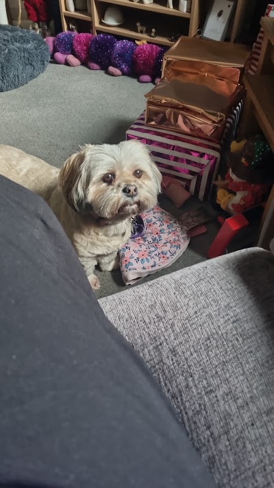 Grooming Van Image