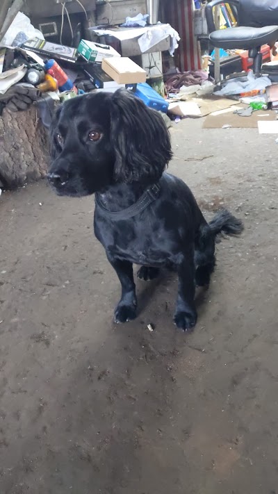Grooming Van Image