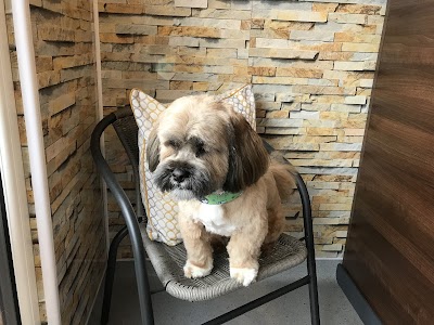 Grooming Van Image