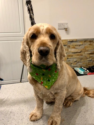 Grooming Van Image