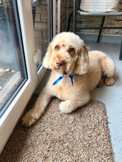 Grooming Van Image