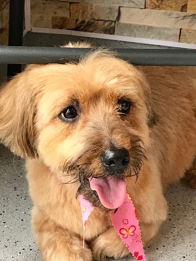 Grooming Van Image