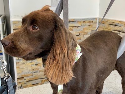 Grooming Van Image