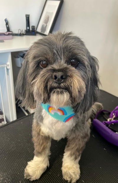 Grooming Van Image