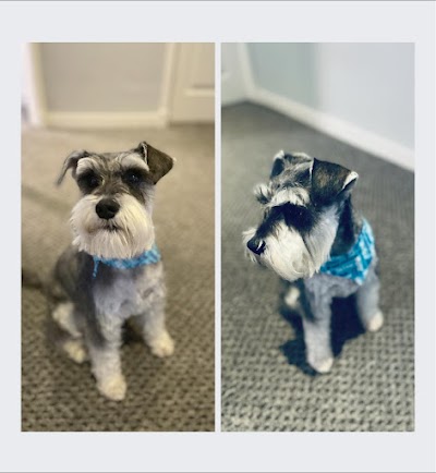 Grooming Van Image