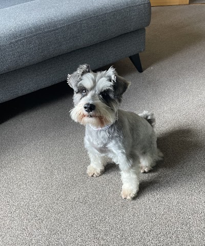 The Paw Pad Grooming and Spa Treatments