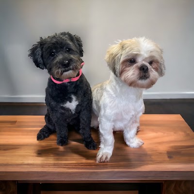 Grooming Van Image