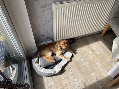 Grooming Van Image