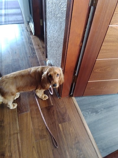 Grooming Van Image