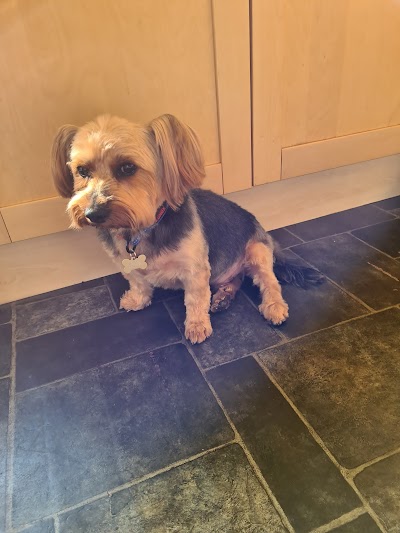 Grooming Van Image
