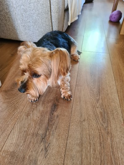 Grooming Van Image