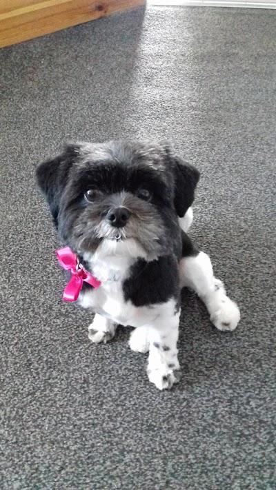 Grooming Van Image
