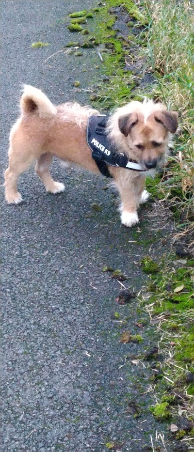 Grooming Van Image