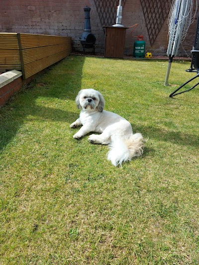 Grooming Van Image