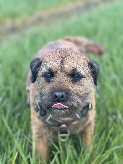 Grooming Van Image