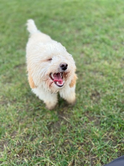 Grooming Van Image