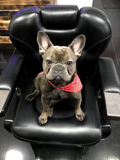Grooming Van Image