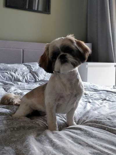 Grooming Van Image