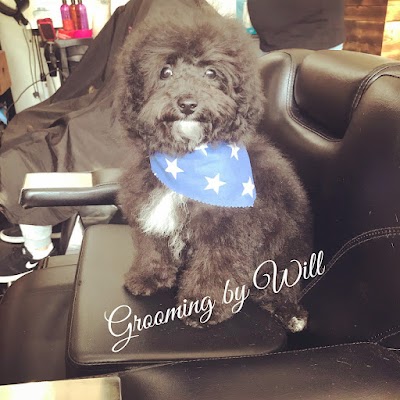 Grooming Van Image