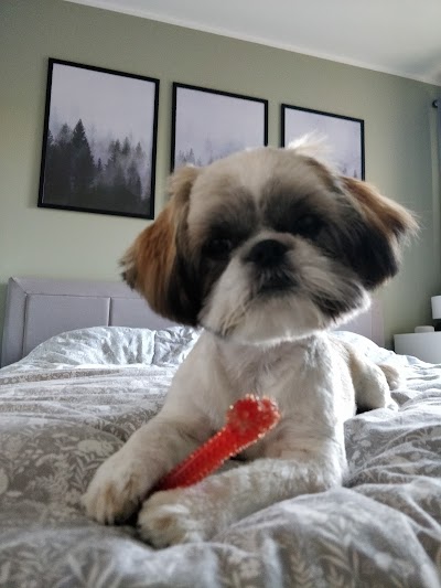 Grooming Van Image