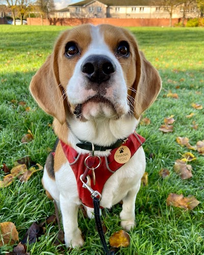 Grooming Van Image