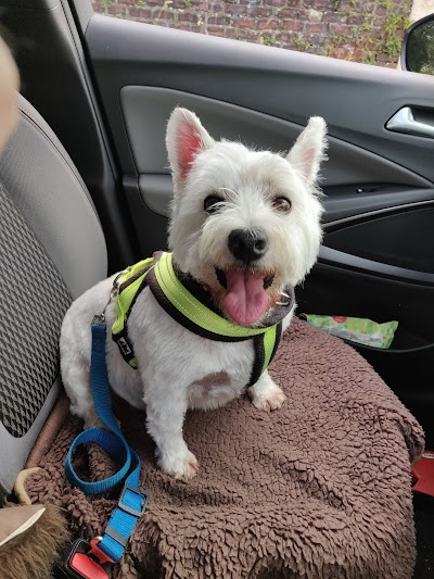 Grooming Van Image