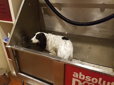 Grooming Van Image