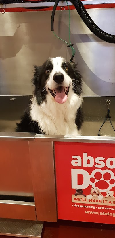 Grooming Van Image