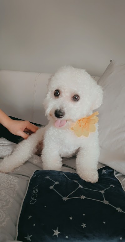 Grooming Van Image